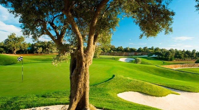 Amendoeira Faldo Course (Oceânico) - Faro - Portugal - Location de clubs de golf