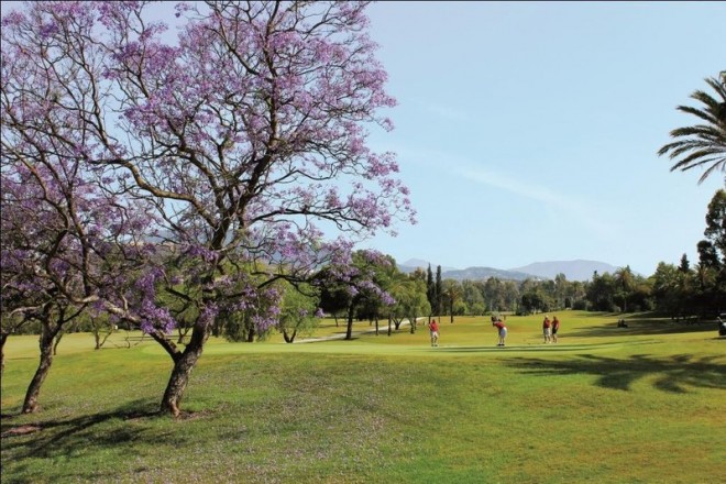 El Paraiso Golf Club - Malaga - Spagna - Mazze da golf da noleggiare