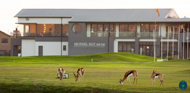 Mossel Bay Golf Club - George - África del Sur