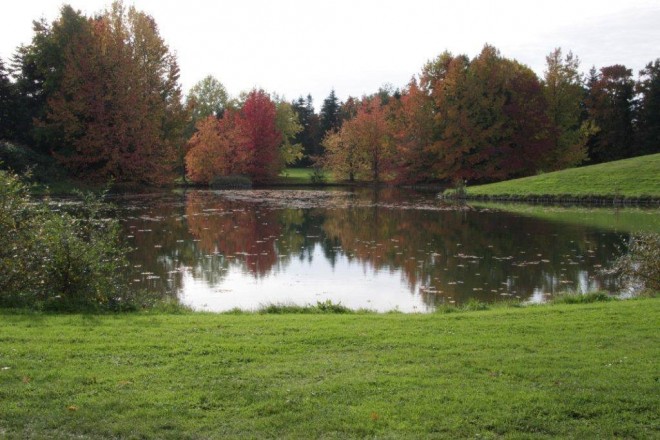 Golf de Courson Stade Francais - Paris WEST - Saint Germain - France - Clubs to hire