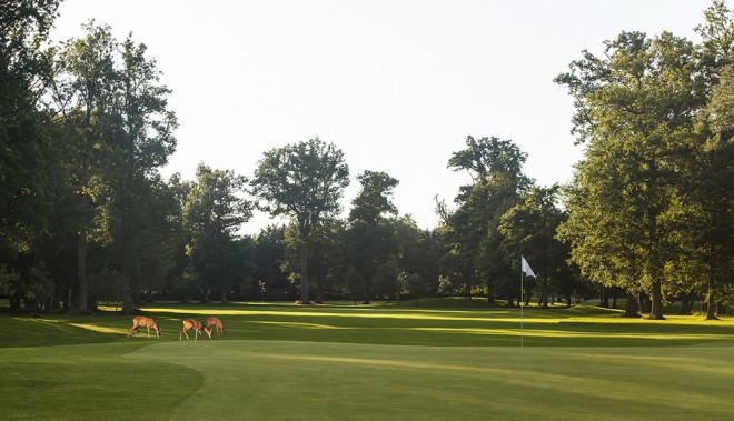 Golf des Yvelines - Paris OUEST- Saint Germain - France - Location de clubs de golf