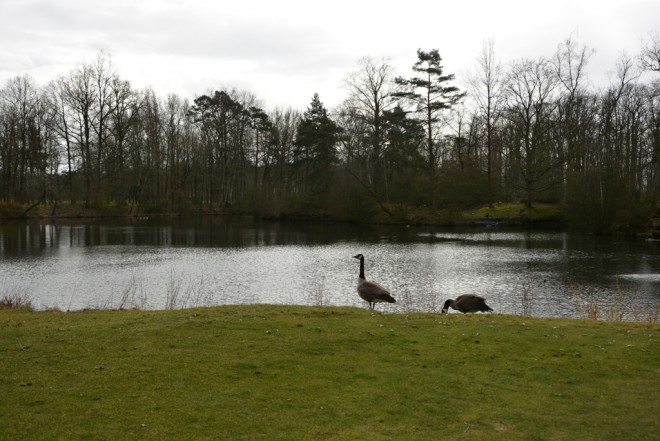 Golf Isabella - Paris OUEST- Saint Germain - France - Location de clubs de golf