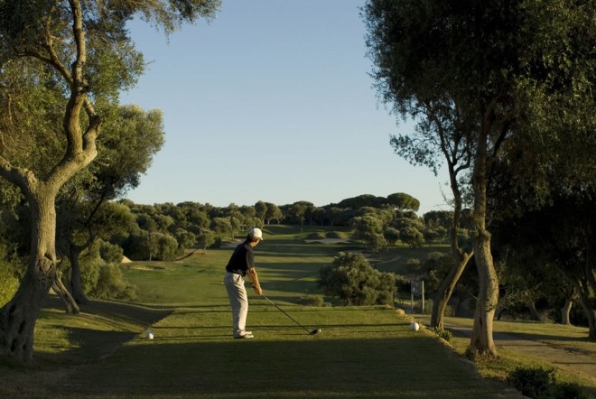 Montenmedio Golf & Country Club - Málaga - Spanien - Golfschlägerverleih
