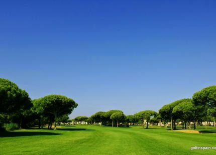 Novo Sancti Petri Golf Club - Málaga - España - Alquiler de palos de golf