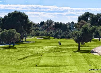 Villamartin Golf - Alicante - Spagna - Mazze da golf da noleggiare