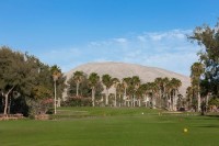 Golf Las Americas Tenerife - Sud (TFS) Espagne